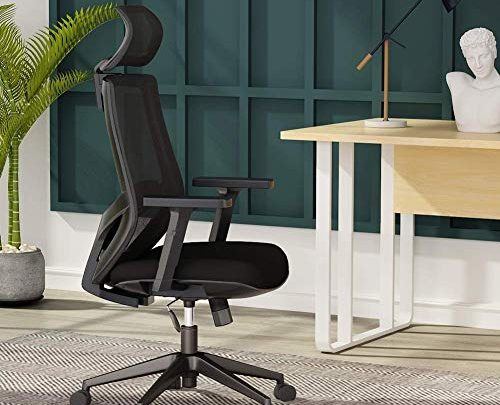 Ergonomic Office Chair, Mesh Chair with Lumbar Support, Tribesigns High Back Desk Chair with Breathable Mesh, Thick Seat Cushion, Adjustable Armrest,
