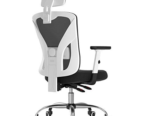 Hbada Ergonomic Office Desk Chair with Adjustable Armrest, Lumbar Support, Headrest and Breathable Skin-Friendly Mesh, White