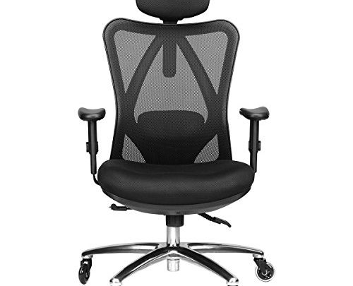 Duramont Ergonomic Adjustable Office Chair with Lumbar Support and Rollerblade Wheels – High Back with Breathable Mesh – Thick Seat Cushion –