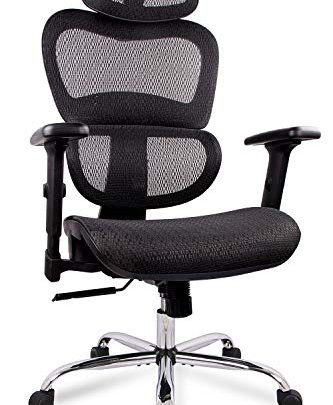 Office Chair, Ergonomics Mesh Chair Computer Chair Desk Chair High Back Chair w/Adjustable Headrest and Armrest