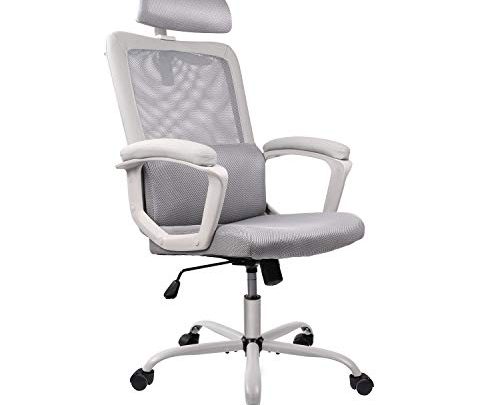 Smugdesk Ergonomic Office Chair, High Back Mesh Desk Office Chair Adjustable Headrest Computer Task Chair – Gray