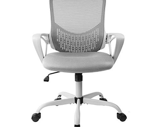 SMUGDESK Ergonomic Office Lumbar Support Mesh Computer Desk Task Chair with Armrests, Gray