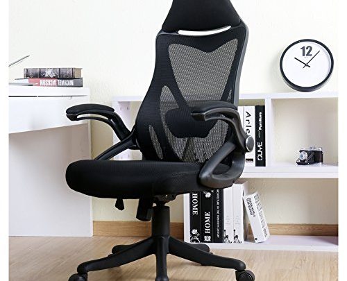 BERLMAN Ergonomic High Back with Adjustable Armrest Lumbar Support Headrest Swivel Task Desk Chair Computer Chair Guest Chairs Reception Chairs (Black)