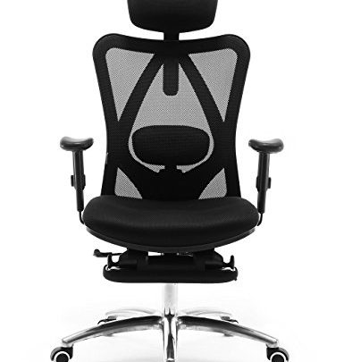 Sihoo Ergonomics Office Chair Recliner Chair,Computer Chair Desk Chair, Adjustable Headrests Chair Backrest and Armrest’s Mesh Chair (Black)