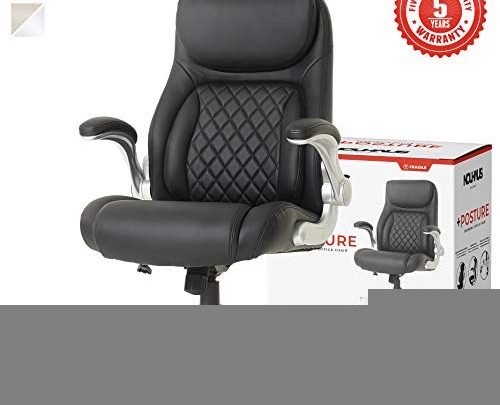 NOUHAUS +Posture Ergonomic PU Leather Office Chair. Click5 Lumbar Support with FlipAdjust Armrests. Modern Executive Chair and Computer Desk Chair (Black)