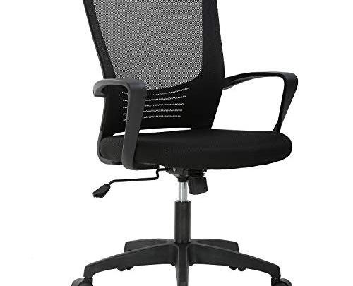 Ergonomic Office Chair Desk Chair Mesh Computer Chair with Lumbar Support Arms Modern Cute Swivel Rolling Task Mid Back Executive Chair for Women Men Adults Girls,Black