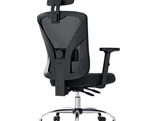 Hbada Ergonomic Office Desk Chair with Adjustable Armrest, Lumbar Support, Headrest and Breathable Skin-Friendly Mesh, Black