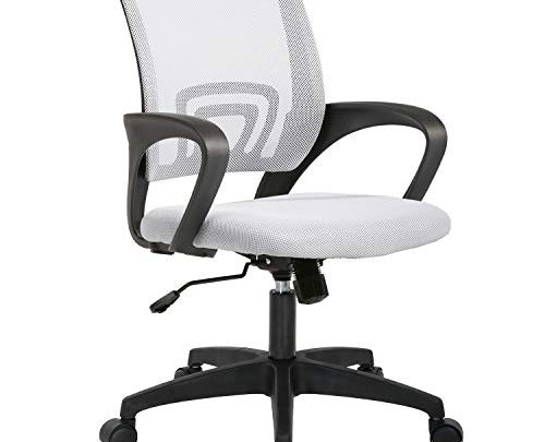 Home Office Chair Ergonomic Desk Chair Mesh Computer Chair with Lumbar Support Armrest Executive Rolling Swivel Adjustable Mid Back Task Chair for Women Adults (White)