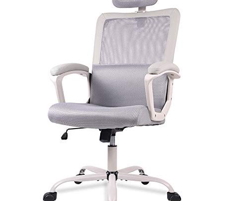SMUGDESK, Mesh, Ergonomic Office Desk Computer Task Chair, Gray
