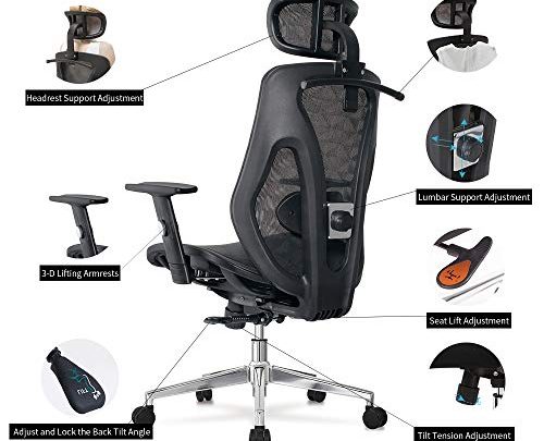 Allguest Ergonomic Adjustable Office Chair with Adjustable Lumbar Support-High Back with Mesh Seat Cushion-Adjustable Head-Arm Rests,Seat Height-Reclines AG-8015MH
