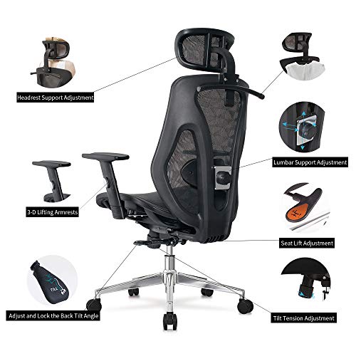 Allguest Ergonomic Adjustable Office Chair with Adjustable Lumbar Support-High Back with Mesh Seat Cushion-Adjustable Head-Arm Rests,Seat Height-Reclines AG-8015MH