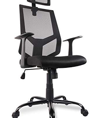 SMUGDESK Ergonomic Office Chair High Back Mesh with Adjustable Headrest Neck Support, Dark Black