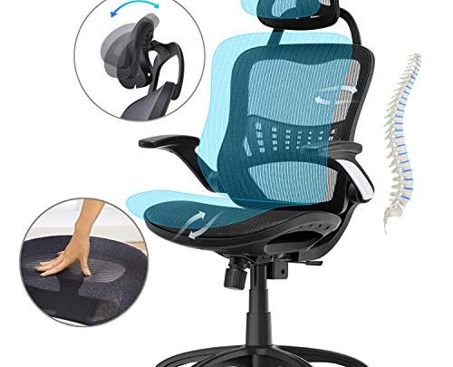 Ergousit High Back Ergonomic Office Chair Mesh Desk Chairs Adjustable Office Chair with Breathable Backrest, Headrest, Armrest and Seat Height for Conference Room (Black)