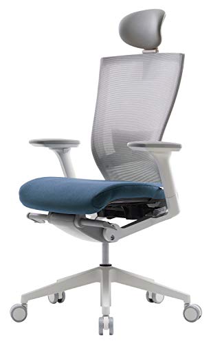 SIDIZ T50 Highly Adjustable Ergonomic Office Chair (TNB500HLDA): Advanced Mechanism for Customization/Extreme Comfort, Headrest, Ventilated Mesh Back, Lumbar Support, 3D Arms,
