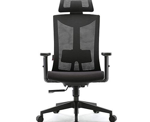 Ergonomic Office Chair Computer Chair Adjustable Head & Arm Rests with Lumbar Support High Back with Breathable Mesh (Black)