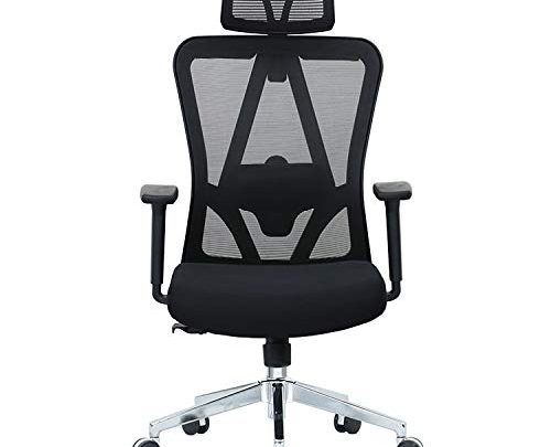 Halter Executive Ergonomic Mesh Office Chair with Adjustable Headrest + Clothes Hanger, 2-D Lumbar Support & Armrest; Thick, Compact Seat Cushion,