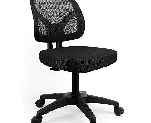 mysuntown Ergonomic Office Chair Mid-Back Desk Chair-Works Drafting Chair Mesh Support Task Computer Chair Without Arms-Home Office Chair Desk Swivel Adjustable Chair in Black