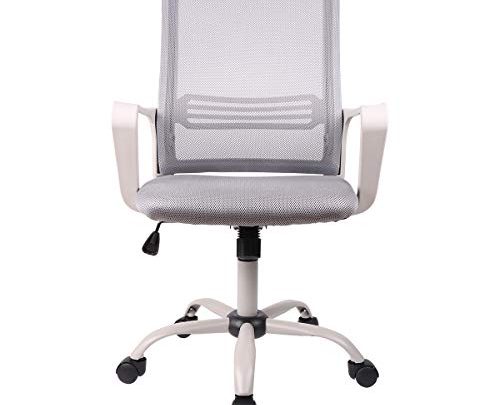 SMUGDESK Ergonomic Home Office Swivel Task Computer Desk Chair with Wheels and Arms, Gray