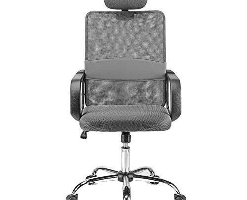 Halter Ergonomic Executive Mesh Office Chair with Headrest, Thick, Compact Seat Cushion, Smooth-Glide Wheels, Durable Chrome Base, Easy Assembly (Dark Gray)