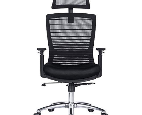 NOVELLAND Ergonomic Reclines Office Chair with Adjustable Lumbar Support and Rollerblade Wheels – High Back with Breathable Mesh – Adjustable Head &