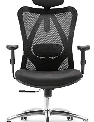 Sihoo Ergonomics Office Chair Computer Chair Desk Chair, Adjustable Headrests Chair Backrest and Armrest’s Mesh Chair (Black)