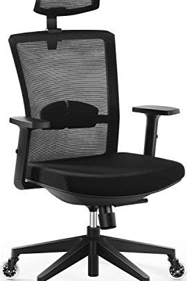 Ergonomic Mesh Office Chair, Tribesigns T19 High Back Desk Chair with Breathable Mesh, Thick Seat Cushion, Chair Caster Wheels