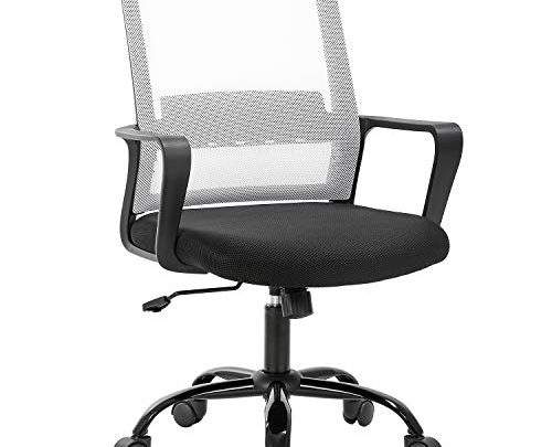 Home Office Chair Ergonomic Desk Chair Swivel Rolling Computer Chair Executive Lumbar Support Task Mesh Chair Adjustable Stool for Women Men (White)