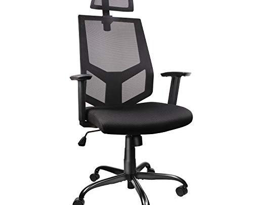 SMUGDESK Ergonomic Lumbar Support Mesh High Back Office Desk Task Chair, Black