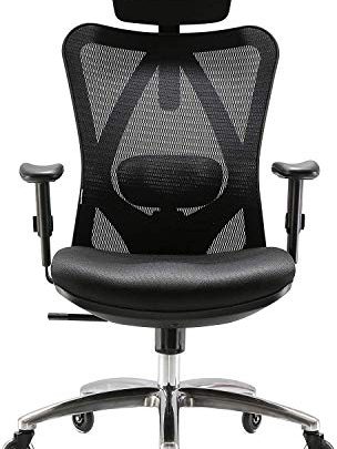 XUER Ergonomics Office Chair Mesh Computer Desk Chair,Adjustable Headrests Chair Backrest and Armrest’s Mesh Chair (Black)