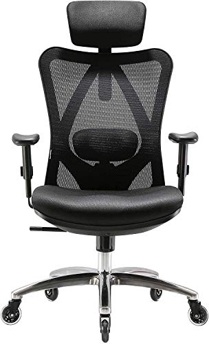 XUER Ergonomics Office Chair Mesh Computer Desk Chair,Adjustable Headrests Chair Backrest and Armrest’s Mesh Chair (Black)