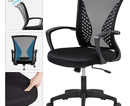 Home Office Chair Mid Back PC Swivel Lumbar Support Adjustable Desk Task Computer Ergonomic Comfortable Mesh Chair with Armrest (Black)