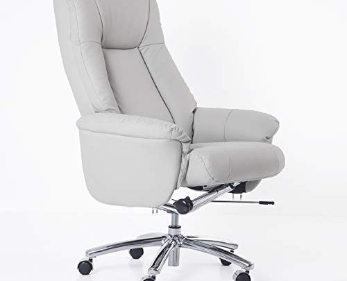 Futuro Hogar Executive Office Chair Adjustable High Back Lumbar Support Chair Rolling Swivel Reclining Chair with Casters Computer Desk Chair Modern Gaming Chair Leather(Light Gray)