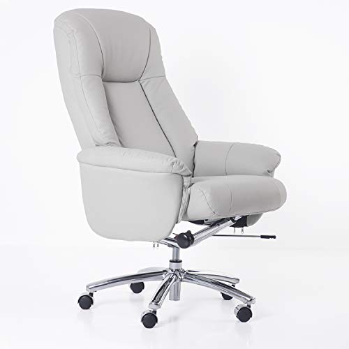 Futuro Hogar Executive Office Chair Adjustable High Back Lumbar Support Chair Rolling Swivel Reclining Chair with Casters Computer Desk Chair Modern Gaming Chair Leather(Light Gray)