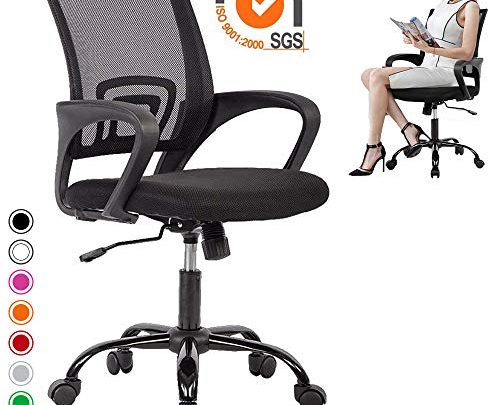 Mesh Office Chair Computer Desk Chair with Wheels,Mid Back Executive Desk Chair,Rolling Swivel Height Adjustable Ergonomic Office Chair,Modern Task Chair with Lumbar Support Armrest,Black