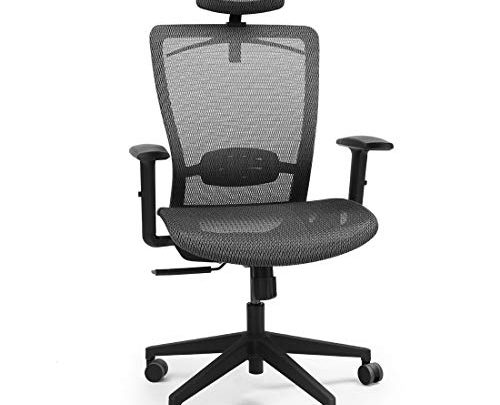 FlexiSpot OC3B Ergonomics Executive Office Chair Swivel Height Adjustable Seat Headrest Armrest on Caster Wheels, Black Mesh Seat