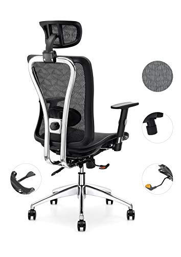 Cedric Office Chair,Breathable Mesh Computer Chair with Ergonomic Adjustable Lumbar Support, Black Swivel Desk Chair with Adjustable Armrest and Headrest,