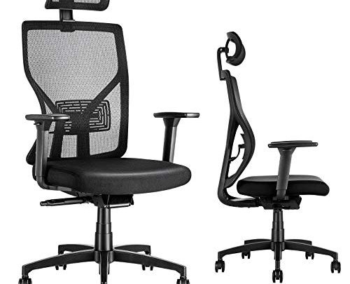 MOLENTS Office Desk Chair Ergonomic Task Chair Breathable Mesh, Adjustable Lumbar Support/Headrest/3D Armrest/Seat Height& Seat Depth, Executive, Drafting, Gaming Computer Home or Office Rolling Chair
