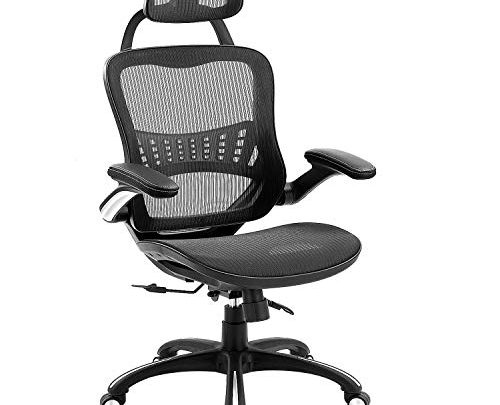 Ergonomic Mesh Office Chair, ZLHECTO Desk Chairs Passes BIFMA, High Back Computer Chairs with Adjustable Backrest, Headrest, Armrest and Seat Height,