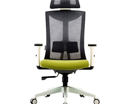 SIHOO Ergonomic Office Chair Computer Chair Adjustable Head & Arm Rests with Lumbar Support High Back with Breathable Mesh（Gray）