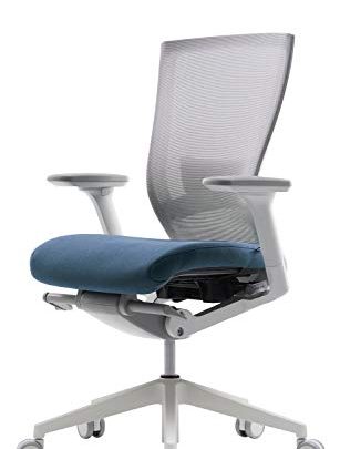 SIDIZ T50 Highly Adjustable Ergonomic Office Chair (TNB500LDA): Advanced Mechanism for Customization/Extreme Comfort, Ventilated Mesh Back, Lumbar Support, 3D Arms,