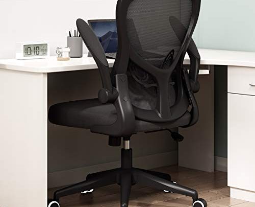 Hbada Office Chair, Ergonomic Desk Chair, Computer Mesh Chair with Lumbar Support and Flip-up Arms,Black