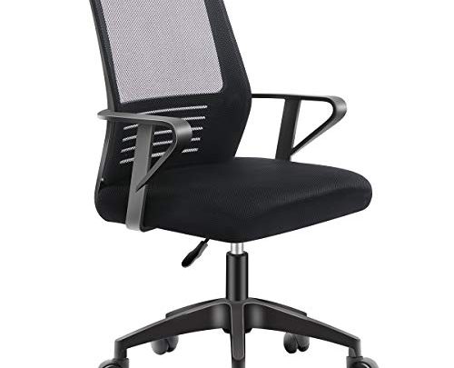 Shuanghu Office Chair,Lumbar Support Mesh Office Computer Swivel Desk Task Chair, Ergonomic Executive Chair with Armrests. (Nylon Base, Black)