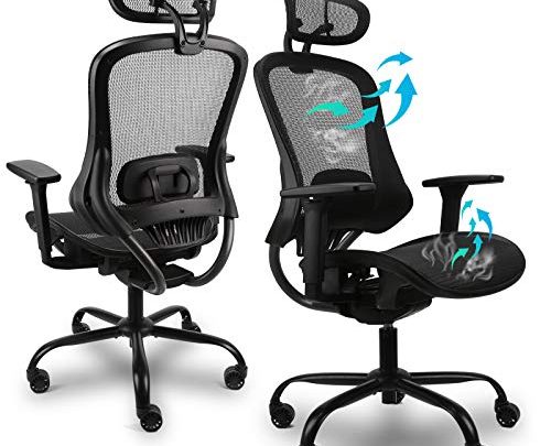 Ergousit Ergo 3D Ergonomic Office Chair – Mesh Computer Desk Chair – High Back Chair with Height Adjustable Lumbar Support and 3D Armrest- Swivel Executive Drafting Chair (Black)