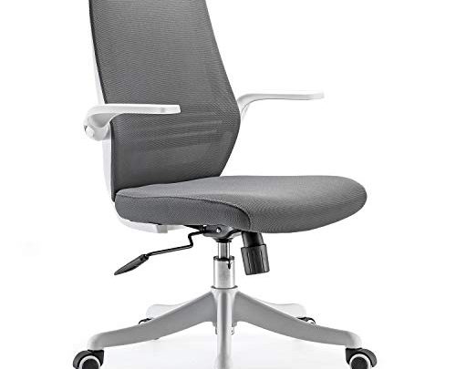 SIHOO Mesh Office Chair, Office Desk Chair, Breathable Chair with Comfortable Lumbar Support, Liftable and Reversible Armrest, Nylon Silent Casters（Grey）