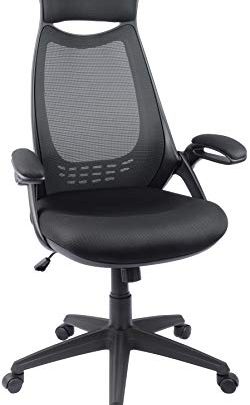 High-Back Ergonomic Office Desk Chair Mesh Executive Computer Chair Height Adjustable with Headrest and Flip-up Arms (Black)