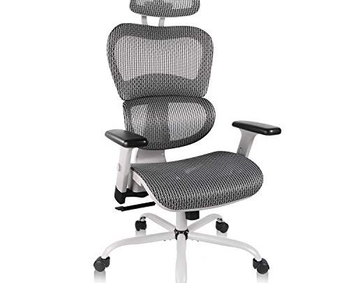 Ergonomic Computer Chair, Home and Office Chair Adjustable Mesh Chair with Reclined and Lockable Back Task Chair Gaming Chair –