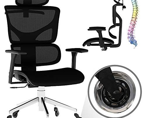 Naviao Modern Executive Office Furniture Ergonomic Mesh Chair with 3-Directional Armrest and Lumbar Support – Comfortable Swivel Executive Chair (Black)