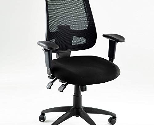 Office Chair with Multiple Adjustment Points Executive Swivel Ergonomic High-Back Task Computer Chair with Arms and Lumbar Mesh Support Desk Chair，Black