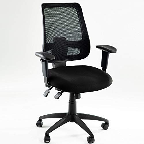 Office Chair with Multiple Adjustment Points Executive Swivel Ergonomic High-Back Task Computer Chair with Arms and Lumbar Mesh Support Desk Chair,Black