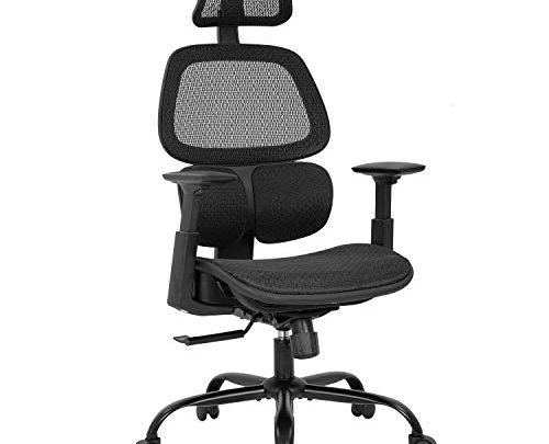 Office Chair Ergonomic Desk Chair Mesh Computer Chair with Arms Lumbar Support Swivel Rolling High Back Task Chair for Men Adults(Black)